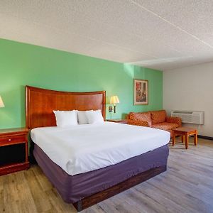 Junior Suite Kitchenette